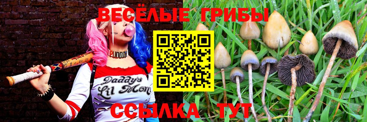 Керчь  Псилоцибиновые грибы GOLDEN TEACHER  Псилоцибиновые грибы Psilocybine cubensis  Вход с VPN 